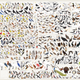 Image for article titled This Gorgeous Poster Contains Every Single Bird You'll See in North America